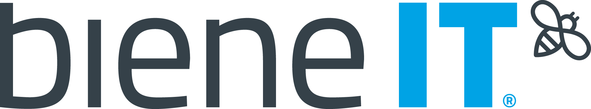 Biene IT GmbH